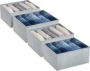 FRESH PCs Wardrobe Organizer For Clothes Storage Box For