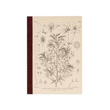 Tomitaro Makino Almost Daily Square Notebook A5 Yamazakura