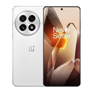 OnePlus 13 Smarter OnePlus AI 12GB RAM 256GB Storage Arctic