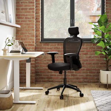 Wakefit Safari Ergonomic Office Chair Work 3 Year Warranty price history chart and lowest price