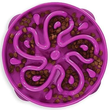 Outward Hound Plastic Fun Feeder Slo-Bowl Healthy Slow