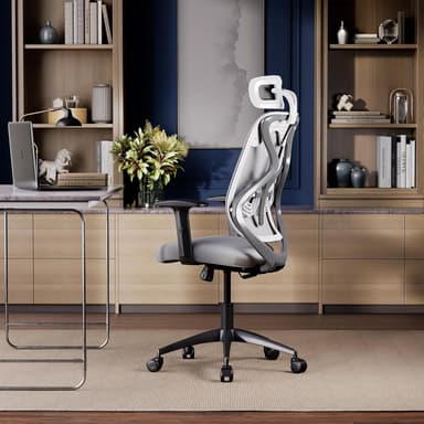 Wakefit Gravita Ergonomic Office Chair Work 3 Year Warranty price history chart and lowest price