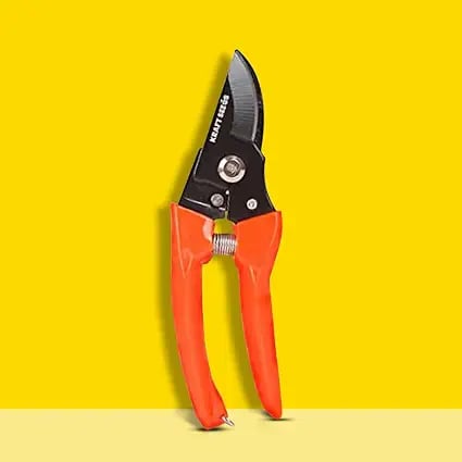 Kraft Seeds 10CLUB Assorted Hand Pruner Cutter - 1 Pc Steel product image from Amazon