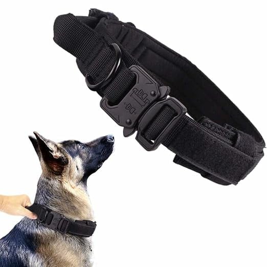 PetVogue Nylon Dog Collar 4 Cm Wide Dog Collar For Large product image from Amazon