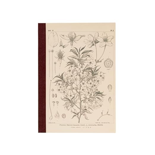 ほぼ日 Tomitaro Makino Almost Daily Square Notebook A5 Yamazakura product image