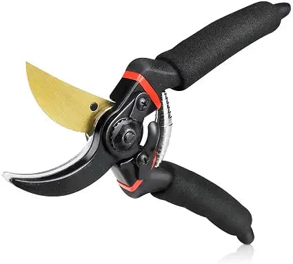 Jd Fresh 8 Inch Heavy Duty Plant Cutter For Home Garden product image from Amazon