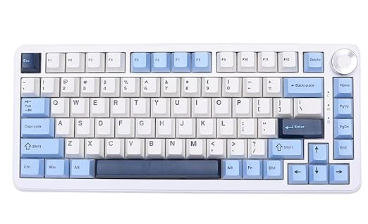 URX x AJAZZ AK820 MAX Plus Wireless RGB Mechanical Keyboard product image from Amazon