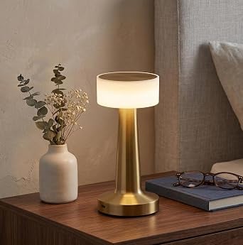Nyrwana Table Lamp 2000mah Battery Home Decor Lamp Lamps product image from Amazon