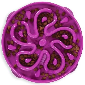 Outward Hound Plastic Fun Feeder Slo-Bowl Healthy Slow product image from Amazon