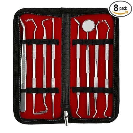 Beaut Secrets Dental Tools 8 Pcs Pick Floss Hygiene Tool product image from Amazon
